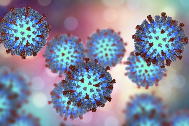 Measel virus (free image, Bing)