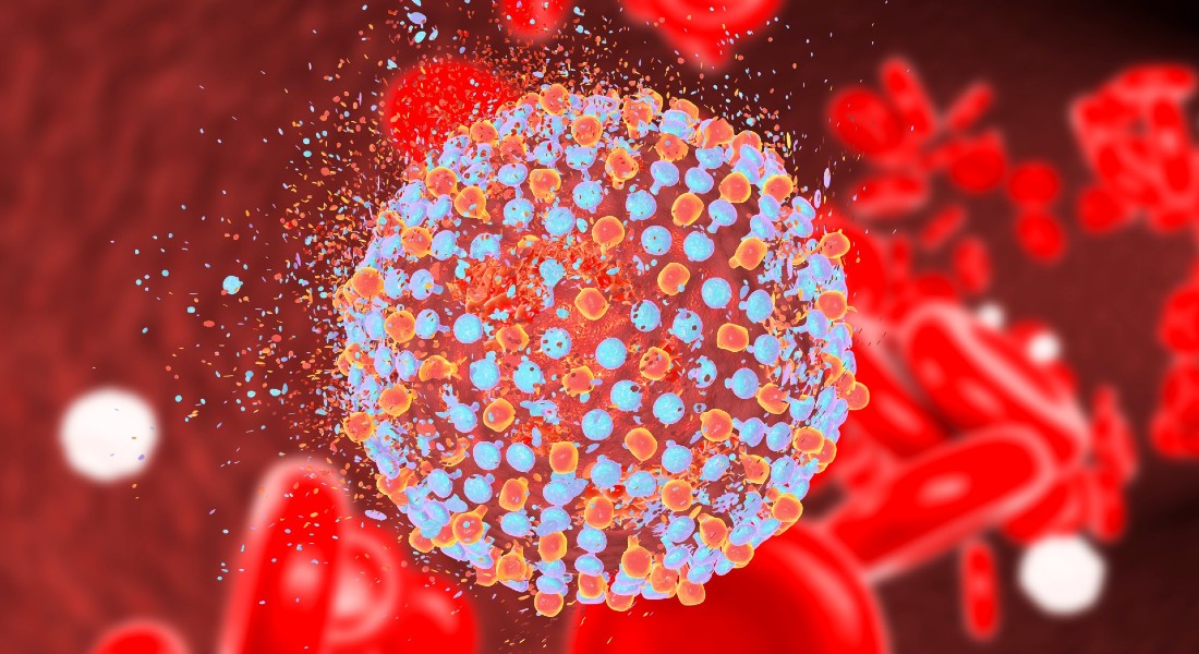 Picture of hepatitis cell